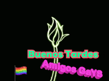 a neon rose with the words buenos tardes amigos gays written below it