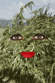 Cannabis Blink GIF - Cannabis Blink GIFs