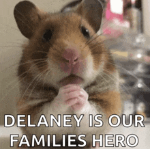 a picture of a hamster with the words delaney is our families hero below it