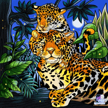 Jaguar GIF