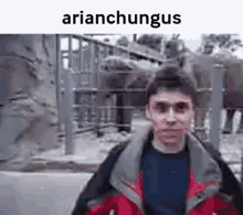 Arianchungus Arianblack GIF