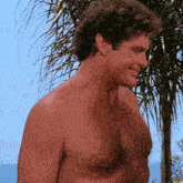 a shirtless man stands in front of a palm tree and the ocean