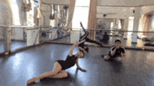 Wing Swan GIF - Wing Swan Stretching GIFs