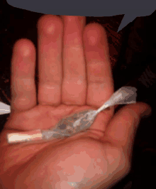 Weed Joint GIF - Weed Joint Bro Really GIFs
