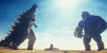 Godzilla X Kong The New Empire GIF