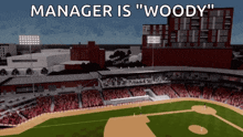fayetteville woodpeckers fayetteville woodpeckers astros minor league baseball
