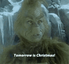 The Grinch Tomorrow Is Christmas GIF - The Grinch Tomorrow Is Christmas GIFs