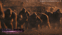 a poster for godzilla kong the new empire shows a herd of gorillas