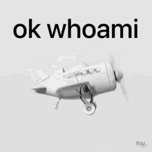 Whoami Ok GIF - Whoami Ok GIFs