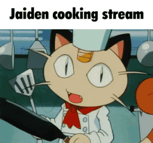 Meowth Cooking GIF - Meowth Cooking Jaiden GIFs