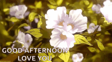 Greetings Good Afternoon GIF - Greetings Good Afternoon Love You GIFs