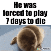 7 Days To Die Crying Seal GIF - 7 Days To Die Crying Seal GIFs