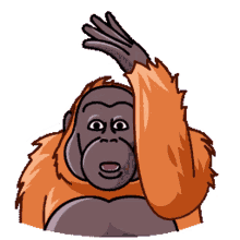 orangutan telegram orangutan orang rofl orang