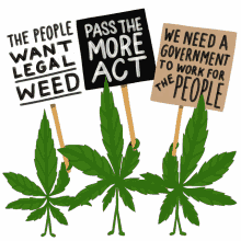 happy420 pablo4medina legalizeit mary jane cannabis