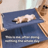 a kitten is laying on a blue hammock with the caption " this is me after doing nothing the whole day "