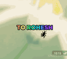 To Rohesh Bug GIF - To Rohesh Bug Colorful GIFs