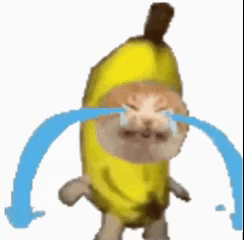 banana-cat-crying.gif