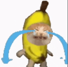 Banana Cat Crying GIF - Banana Cat Crying GIFs