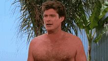 a man without a shirt stands in front of a palm tree