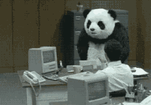 panda pissed panda mad panda angry panda at work like