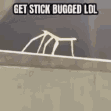 get stick bug lol distorted