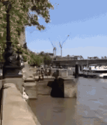River Stairs GIF - River Stairs GIFs