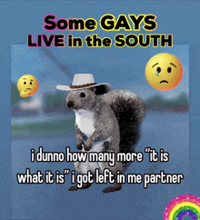 a squirrel wearing a cowboy hat with the words some gays live in the south