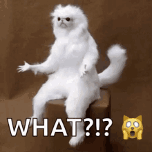 What Whats Going On GIF - What Whats Going On White Monkey GIFs