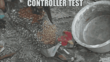 Controller Test Chicken GIF