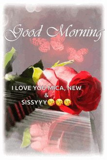 Good Morning Rose Love GIF - Good Morning Rose Love GIFs