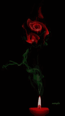 Rose Candle GIF - Rose Candle Light GIFs
