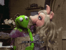 Muppets The Muppet Show GIF - Muppets The Muppet Show Kermit The Frog GIFs