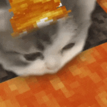 Cat Lava GIF - Cat Lava Drink GIFs