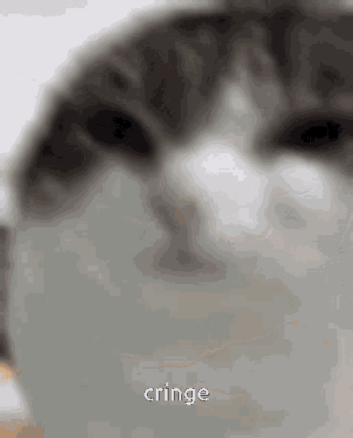 Cringe GIF Cringe discover and share GIFs