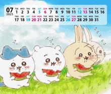 a calendar for the year 2025 shows a rabbit eating watermelon
