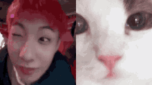 Renjun Renjun Cat GIF - Renjun Renjun Cat Cat GIFs