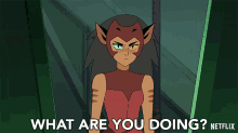 What Are You Doing Catra GIF - What Are You Doing Catra She Ra And The Princesses Of Power GIFs