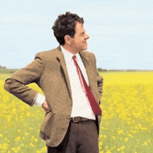 a man in a suit and tie stands in a field of flowers