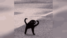 Shakey Strong Cat GIF