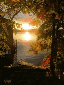 Sunshine Lake GIF