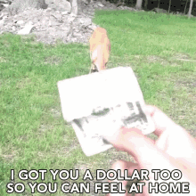 Heres Some Money Got You A Dollar GIF - Heres Some Money Got You A Dollar Feel At Home GIFs
