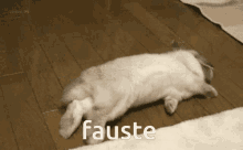 a white rabbit is laying on its back with the word fauste written above it