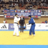 Ippon Judô GIF - Ippon Judô Judo GIFs