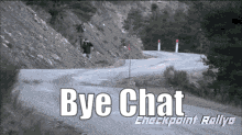 Bye Chat Rallying GIF - Bye Chat Rallying Car GIFs
