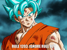 Ignore Rule 427 Dragon Ball Rule GIF - Ignore Rule 427 Dragon Ball Rule Rule 1203 GIFs