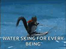 Squirrel Water Skiing GIF