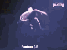 Pantera Phil GIF - Pantera Phil Philip Anselmo GIFs