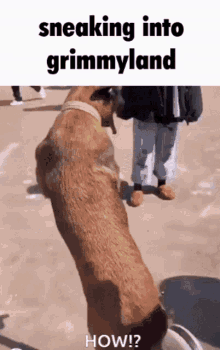 Grimmyland Sneaking GIF