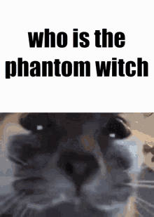 Phantom Witch Quanta GIF - Phantom Witch Quanta Quanta Meme GIFs