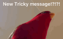 tricky discord bird text red